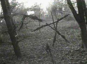 Where Are They Now?  The Blair Witch